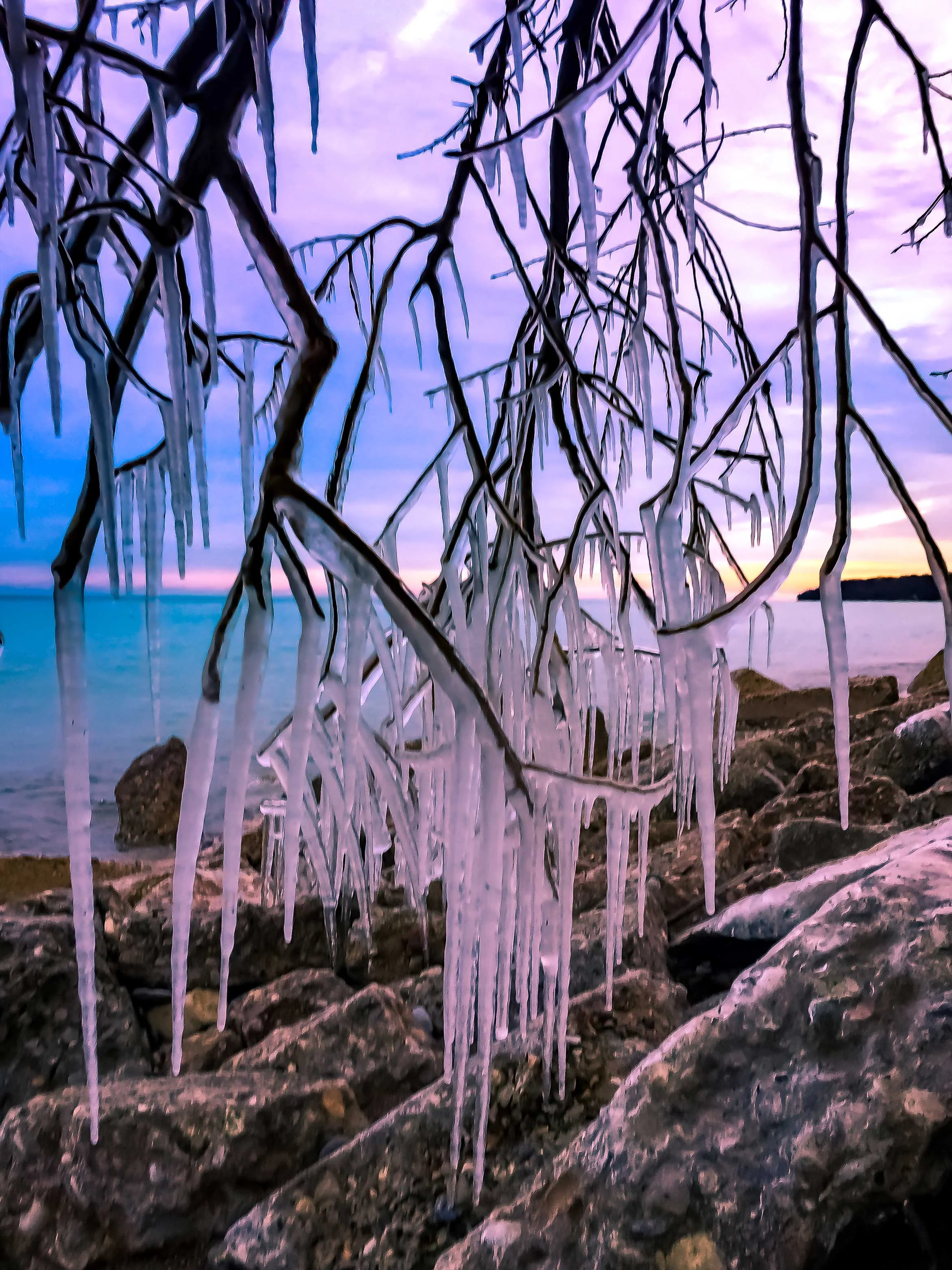 First Ice - Terri Hart-Ellis