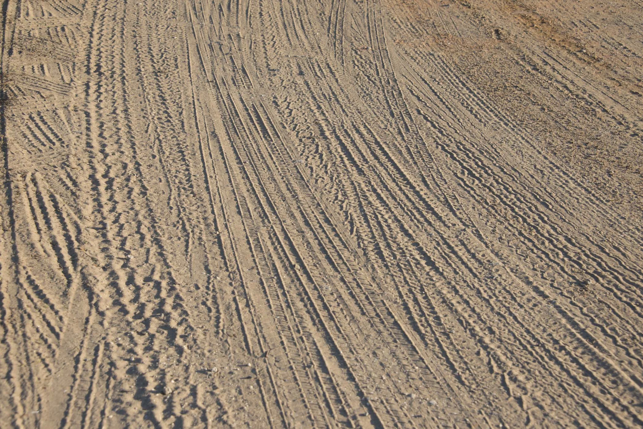3rd place - Tire Tracks - Phyllis Bankier