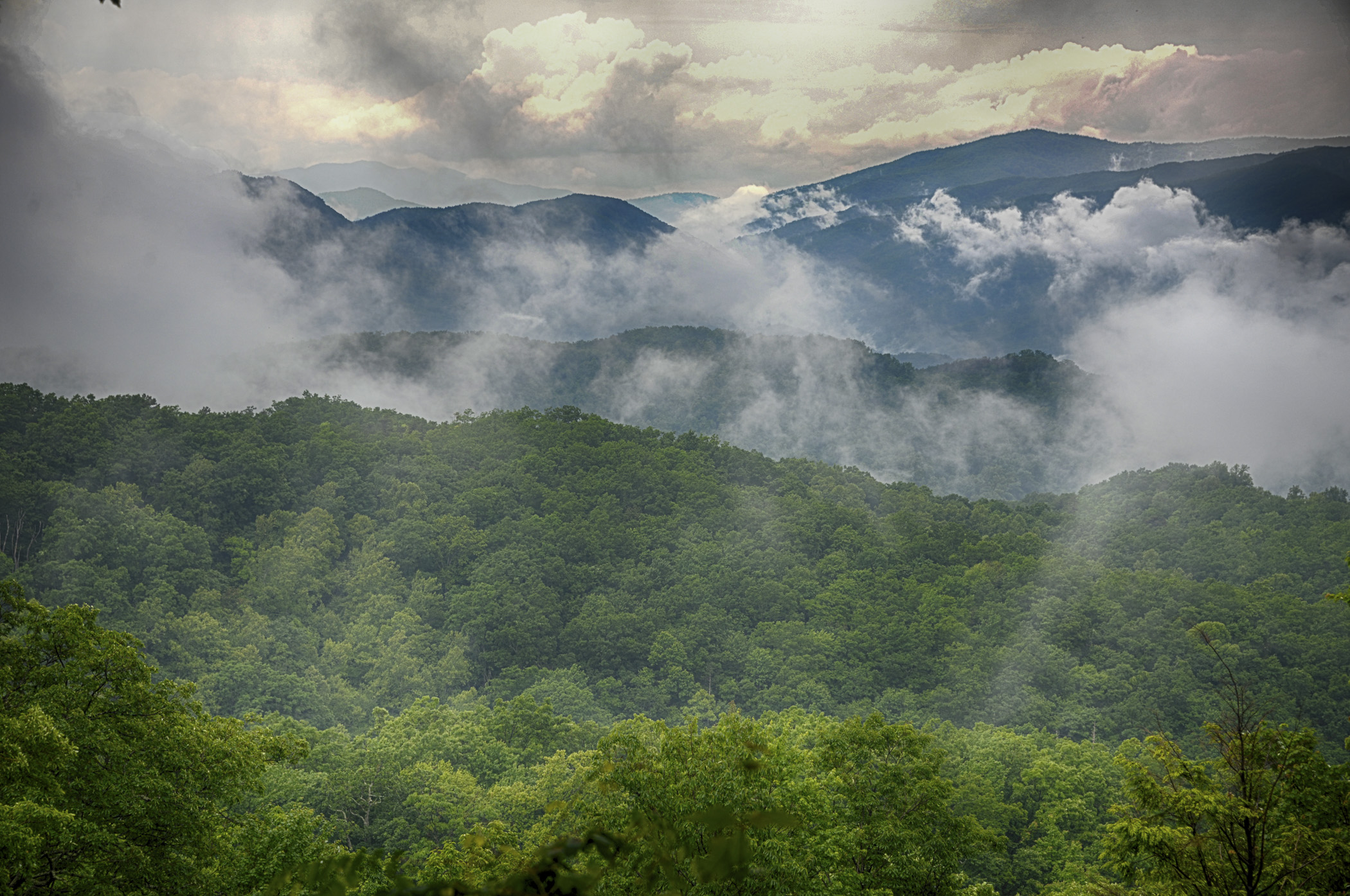 Great Smokey Mountains - Phyllis Bankier