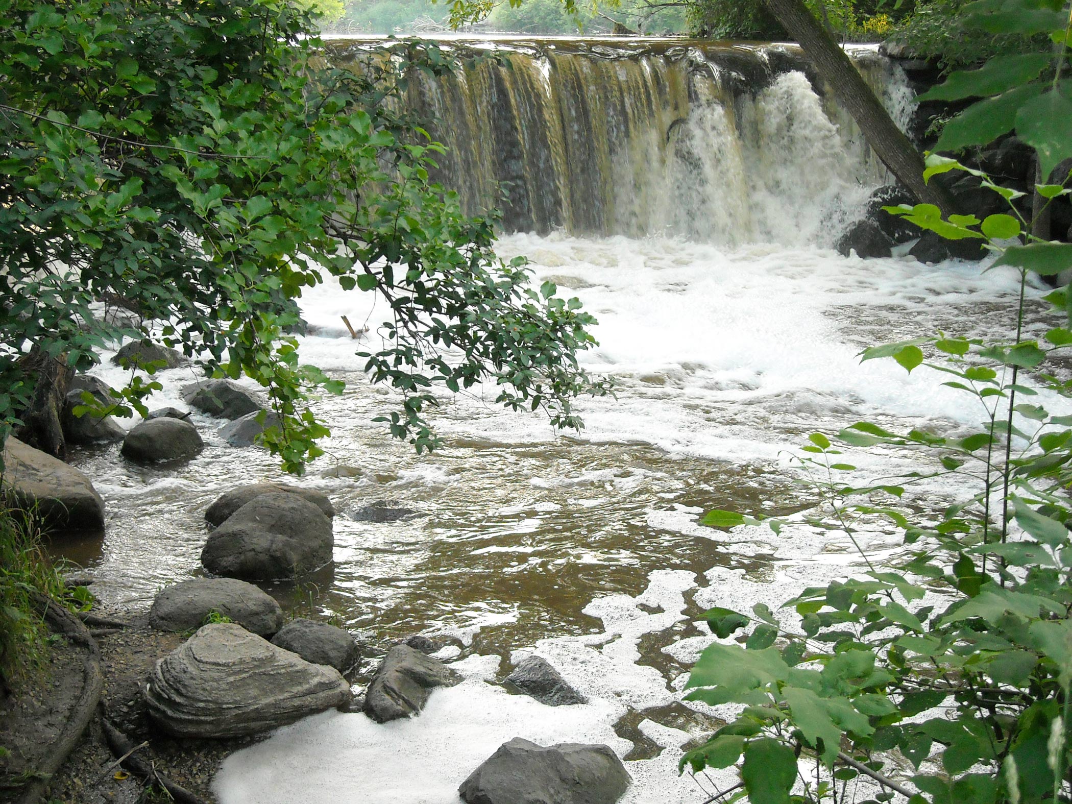 The Falls in Whitnall Park - Brian Chart