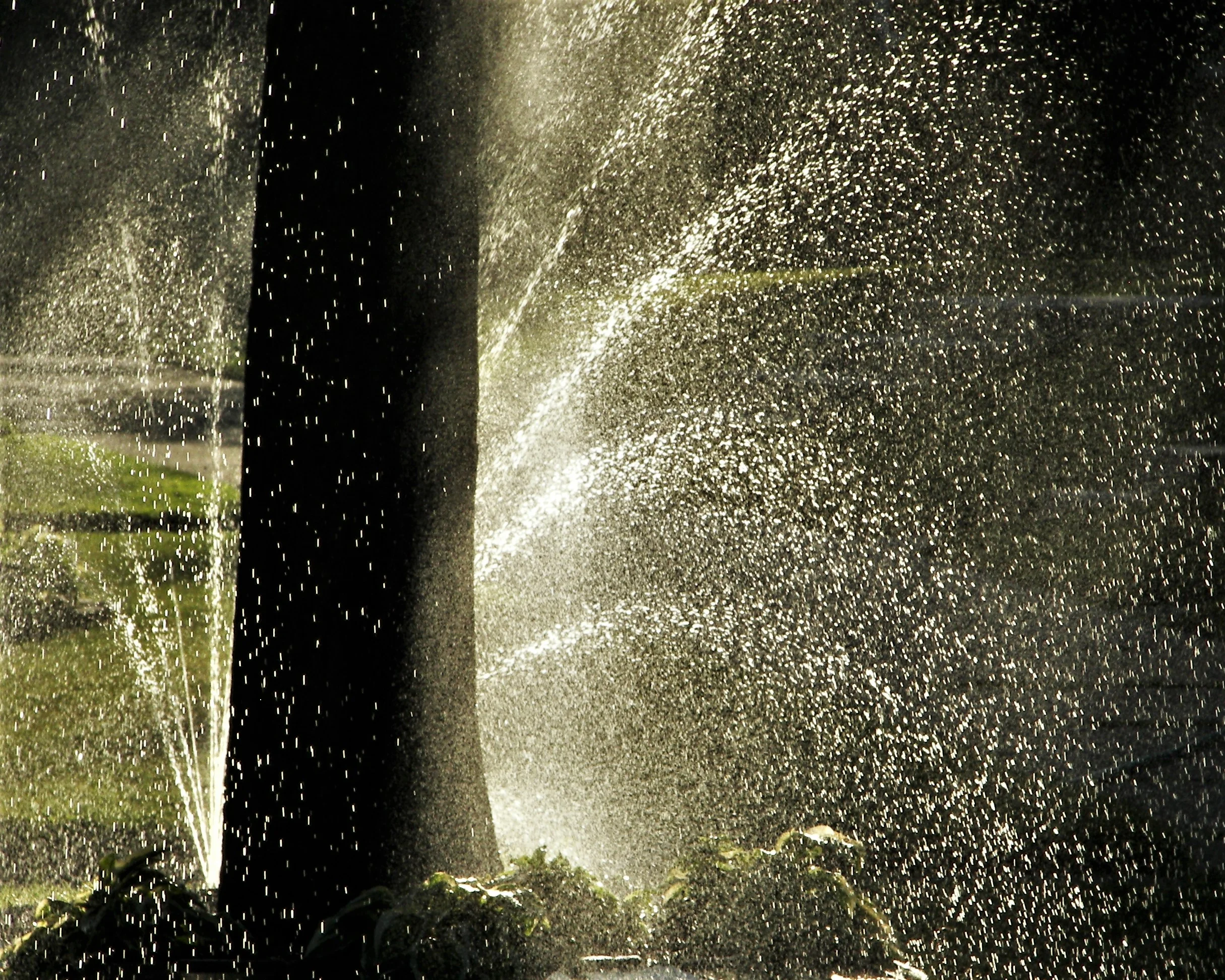 Lawn Sprinkling Water - Steve Morse