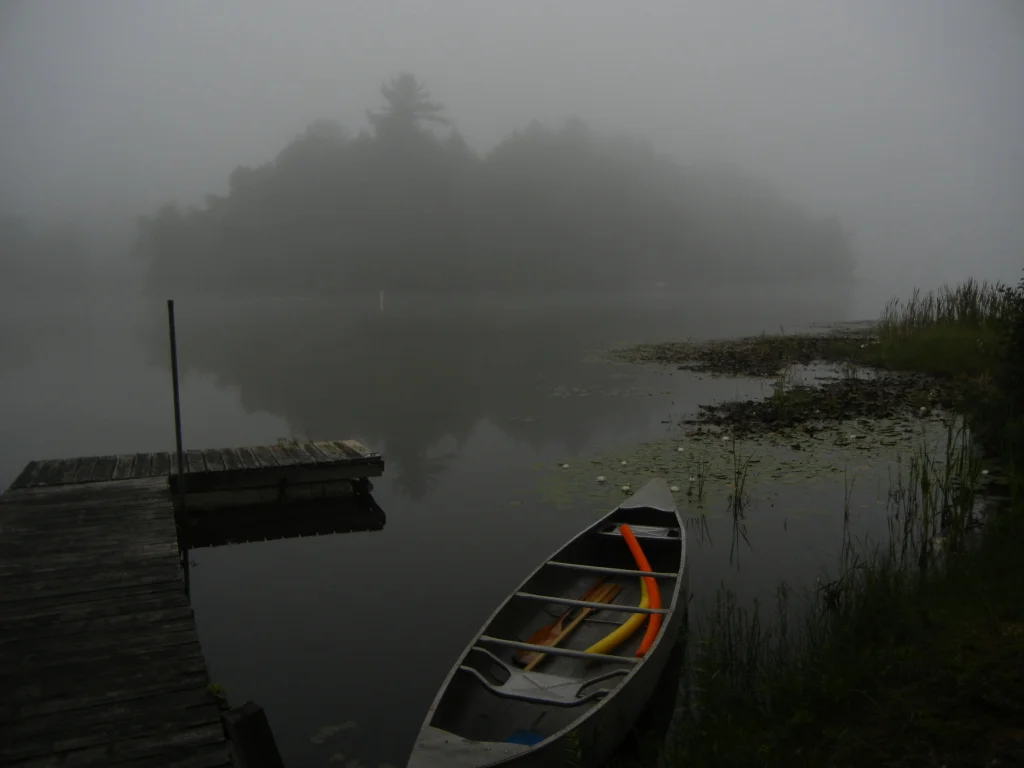 Nature - The Island - Susan Modder 