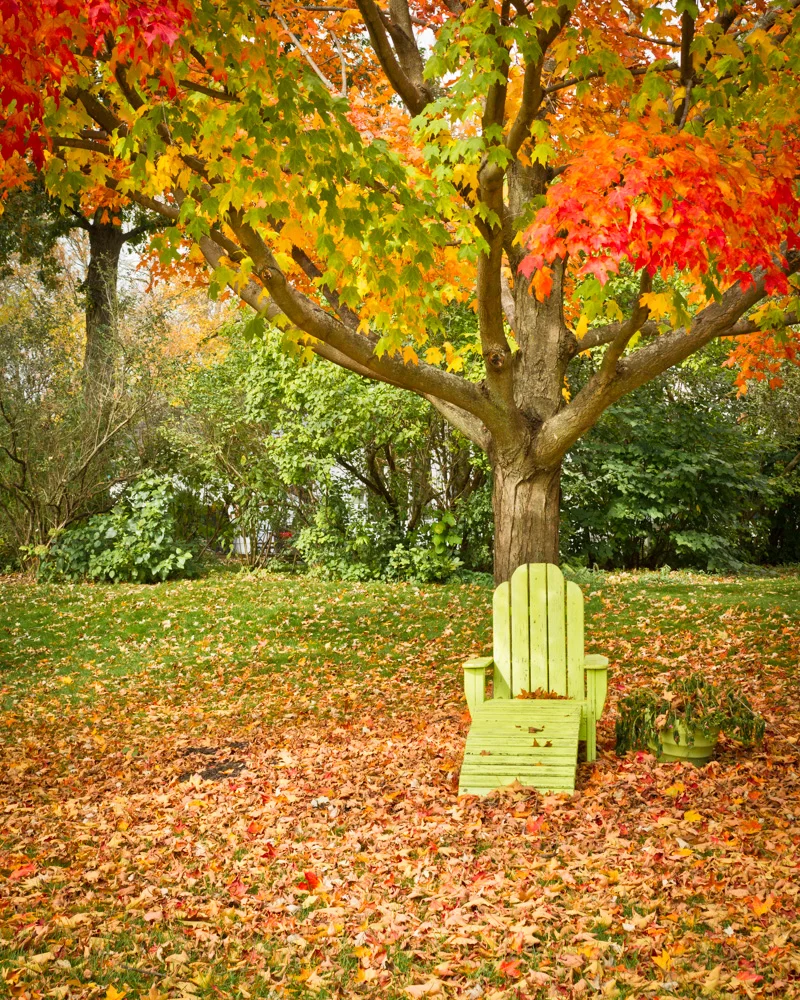 3rd Place - Essence of Fall - Phil Waitkus