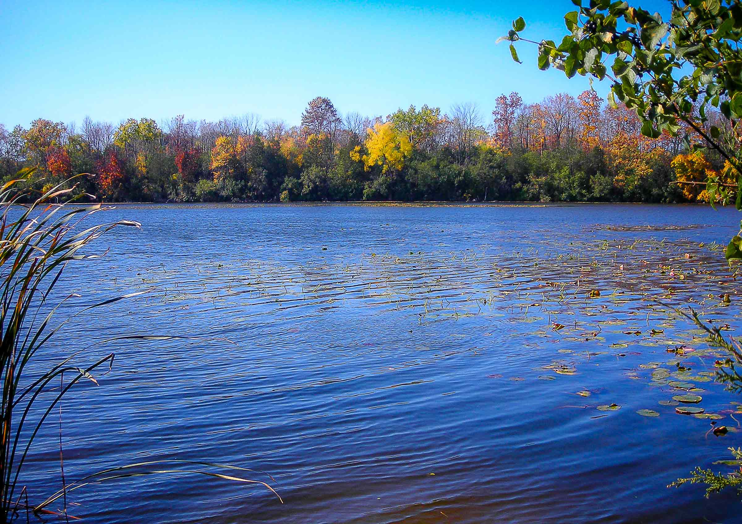 Nashotah Park - Dan Ford