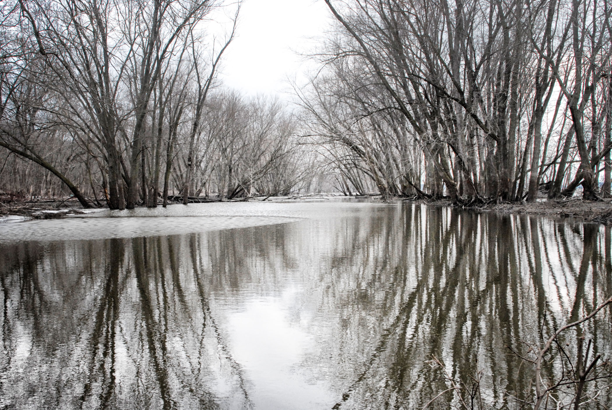 Flooded River - Phyllis Bankier