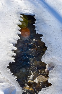 Ice on Valley Creek, Port Washington, WI - Dave Woodard