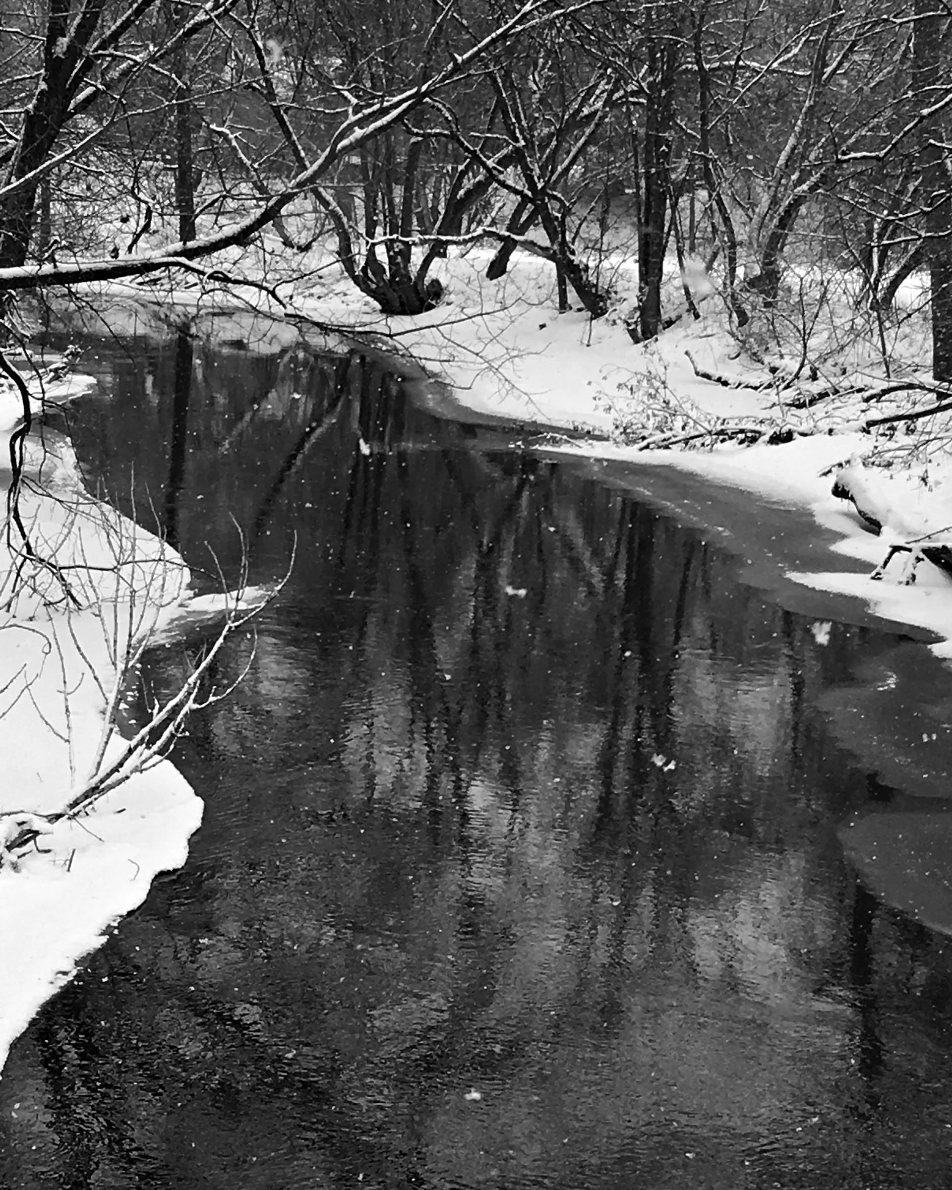 By the River on a Snow Day - Audrey Waitkus