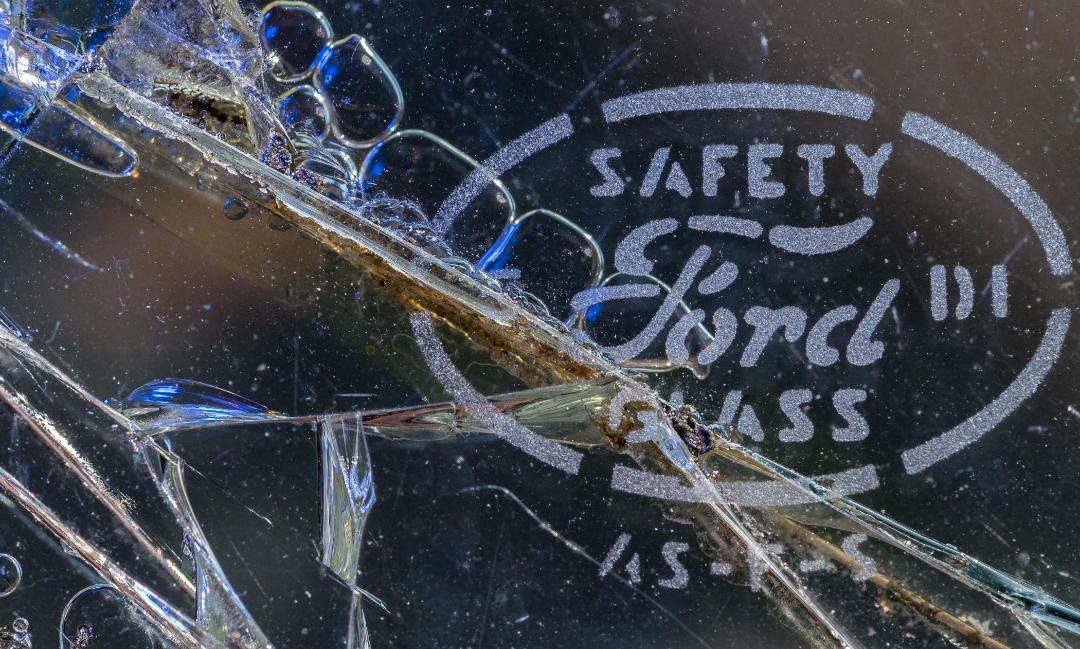 Safety Glass - Diane Rychlinski