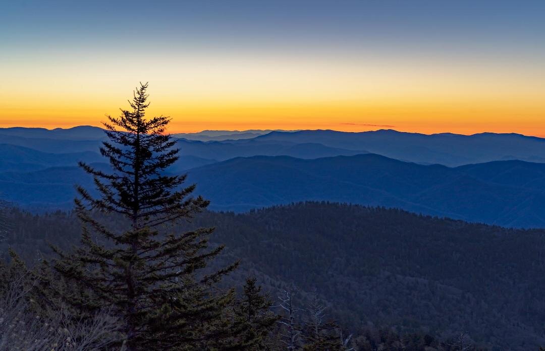 Nature 3rd place - Smokies - Diane Rychlinski