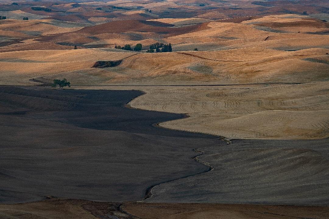 Open 2nd place - The Palouse - Spokane, WA - Diana Duffey