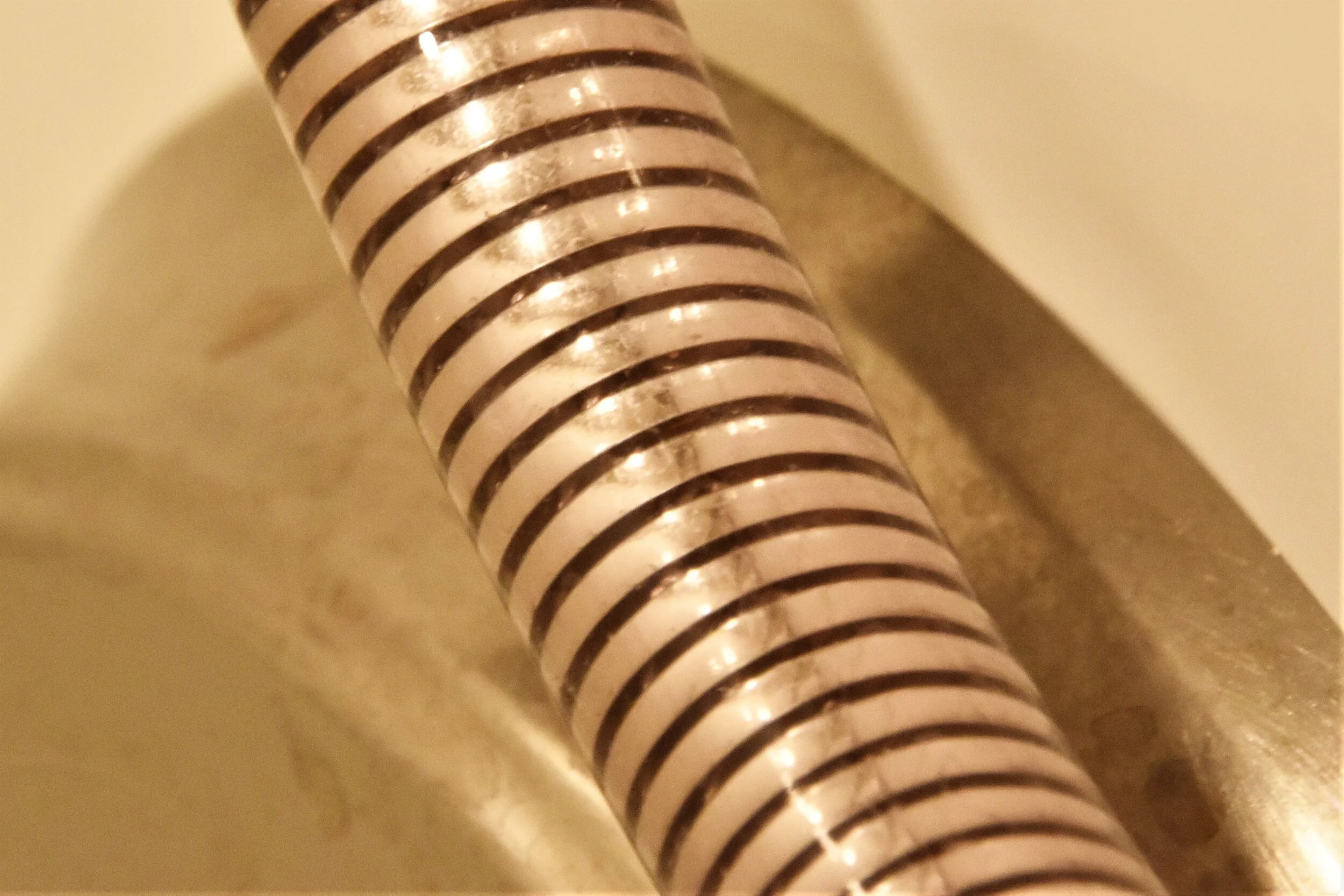 Shower Hose - Steve Morse