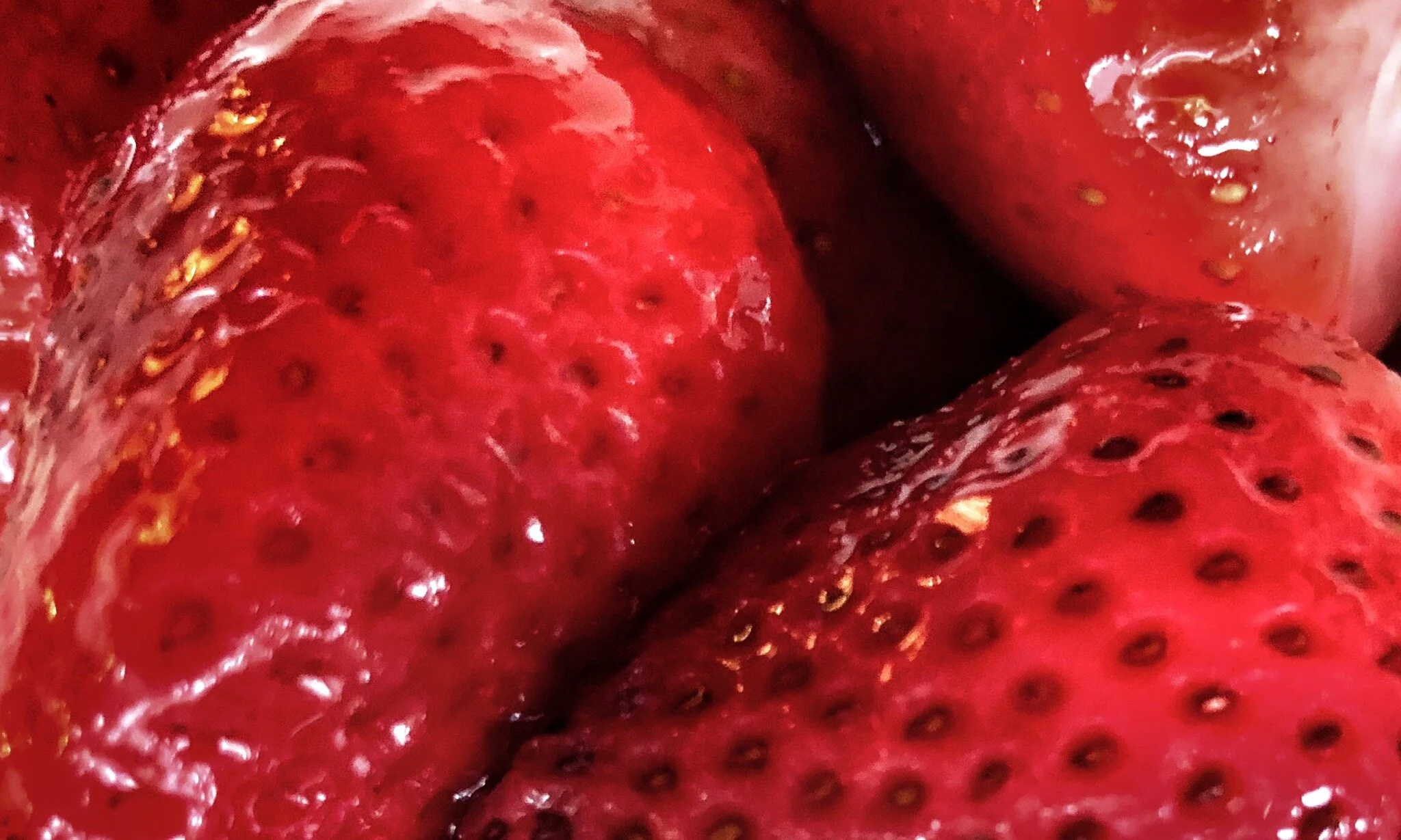 3rd place - Strawberries - Charlie.
