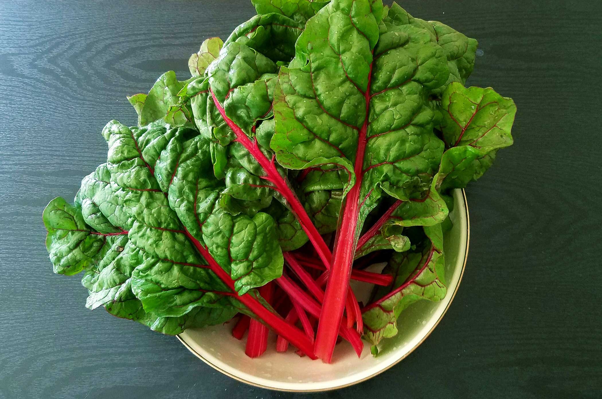 2nd place - Vulcan Red Swiss Chard - Carole Kincaid