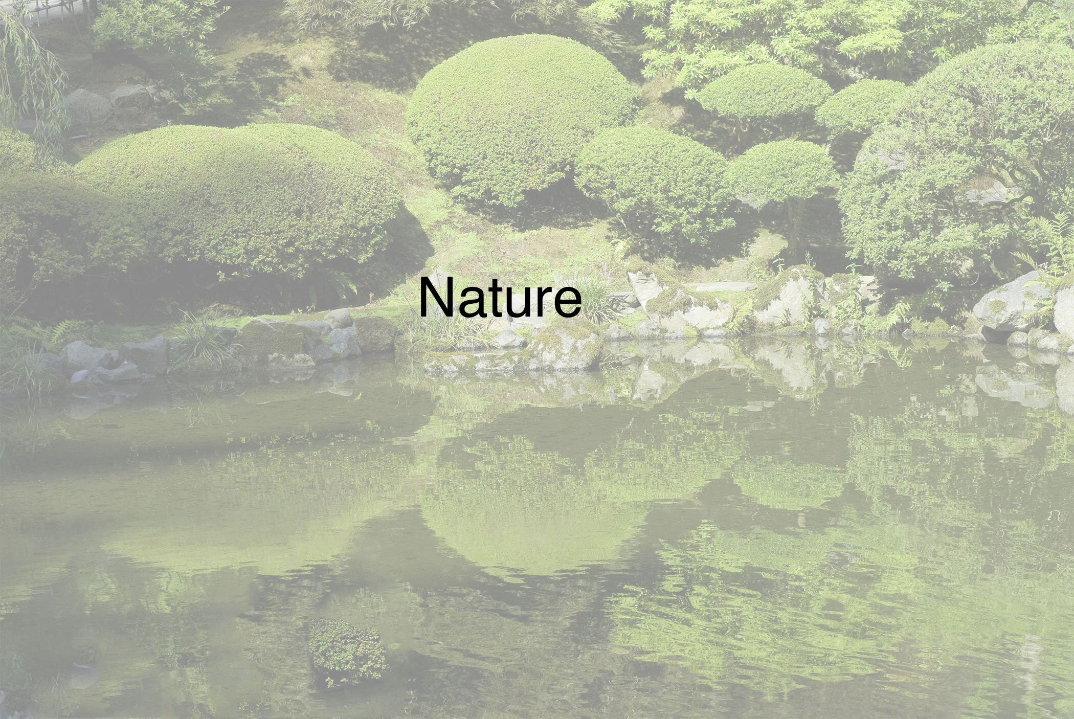 Nature.jpg