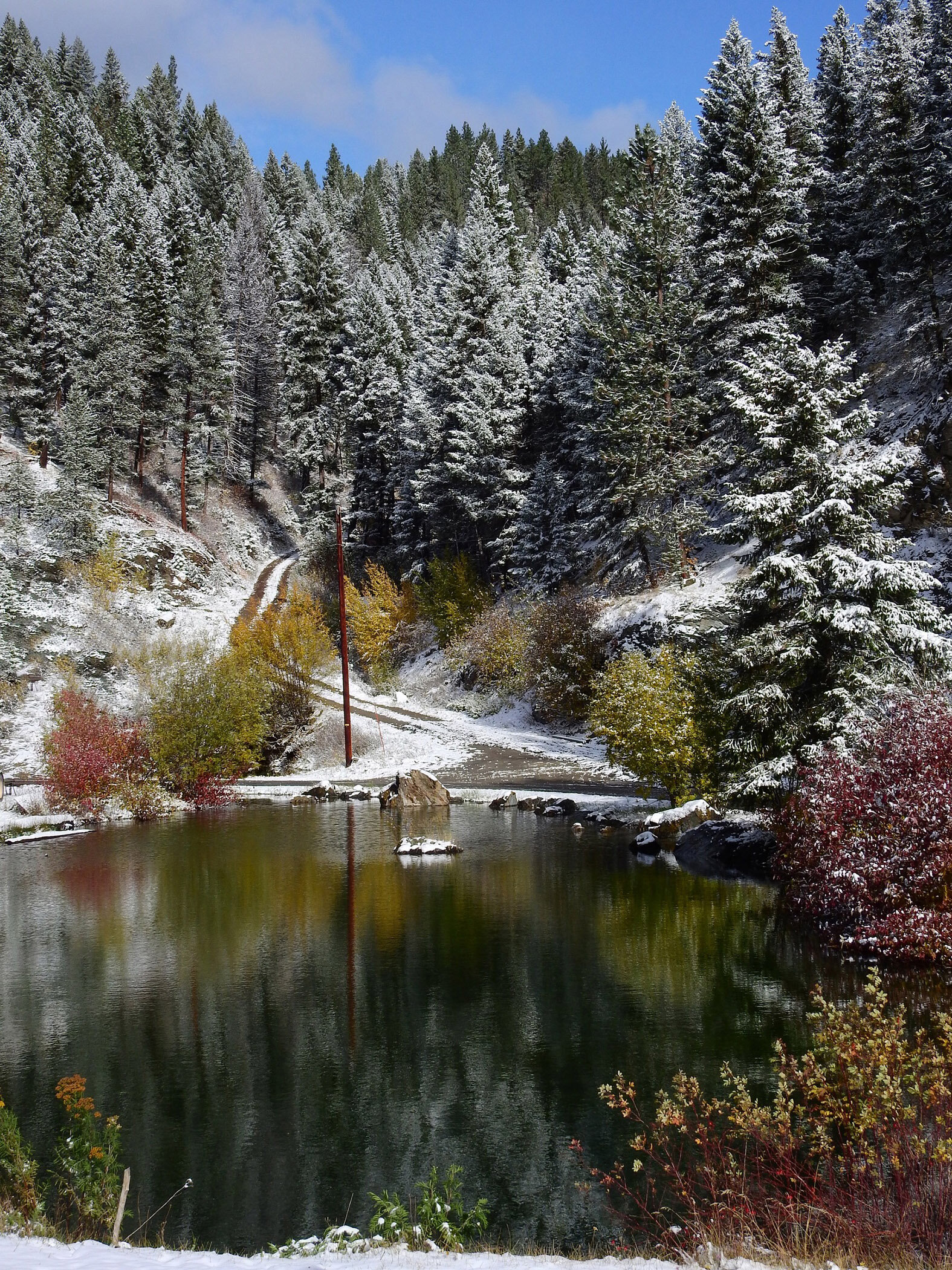 Nature - Montana Pond - Kathy Smith