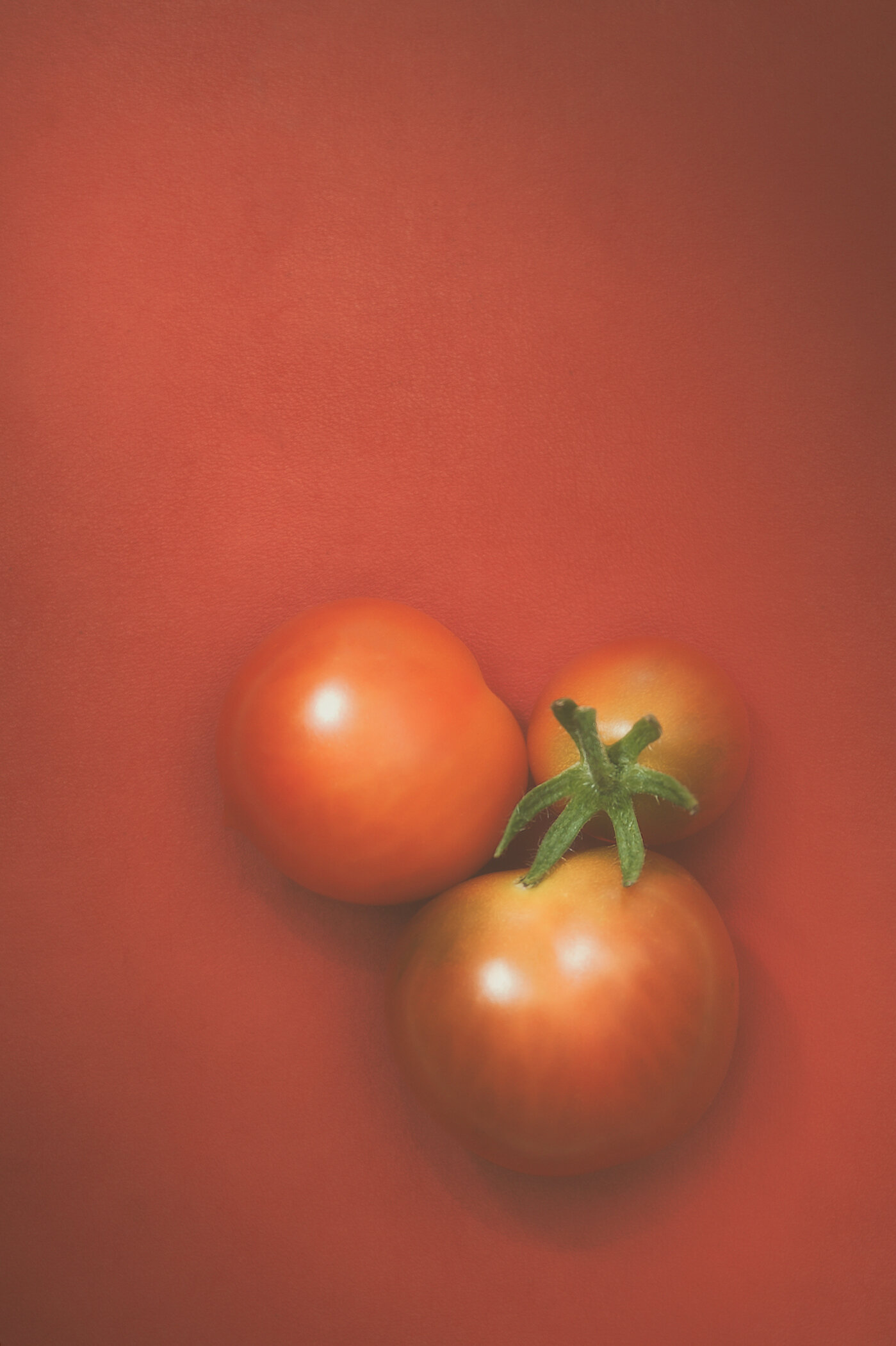 Three Cherry Tomatoes - Scott Norris