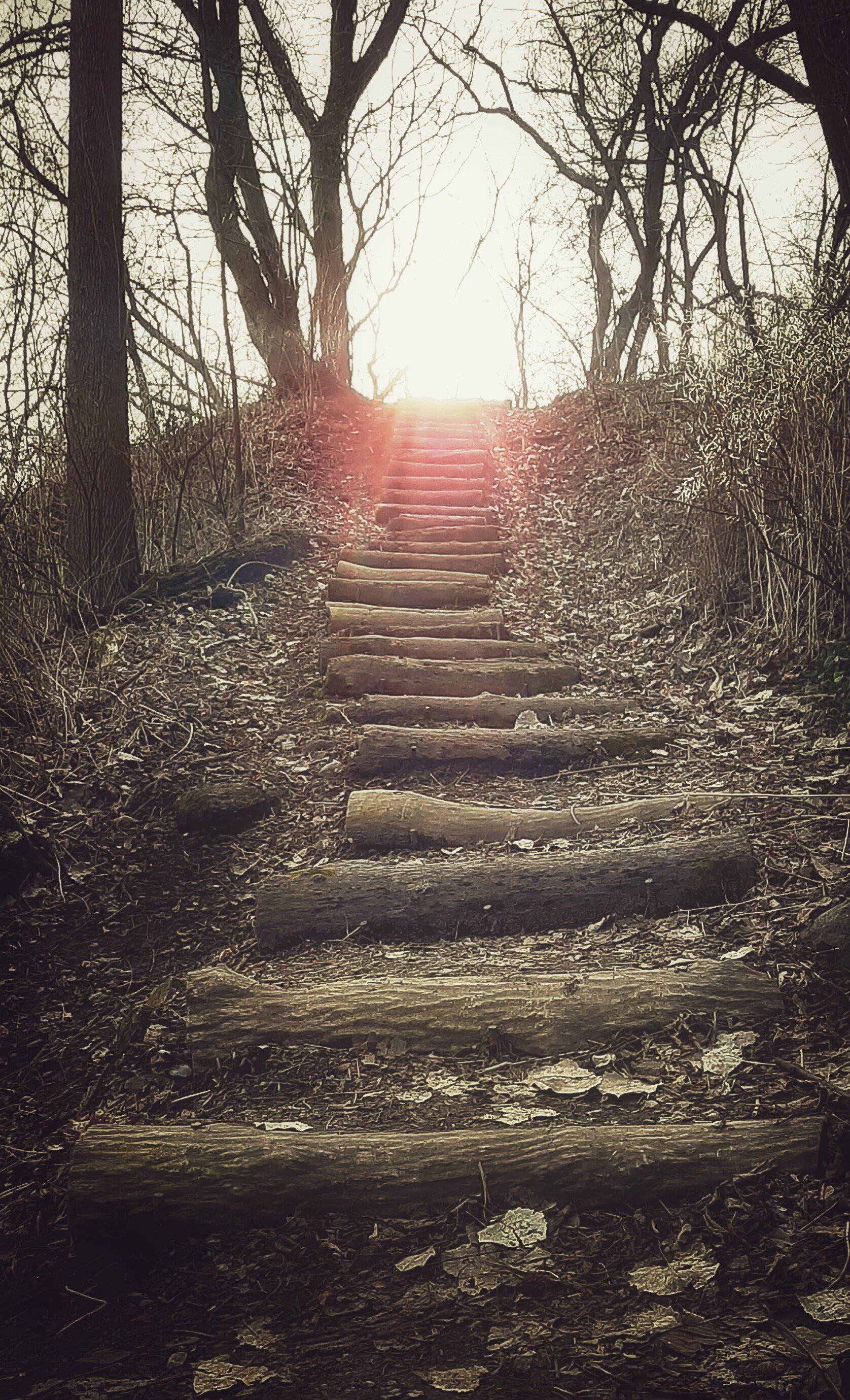 Stairway to the Sun - Scott Norris