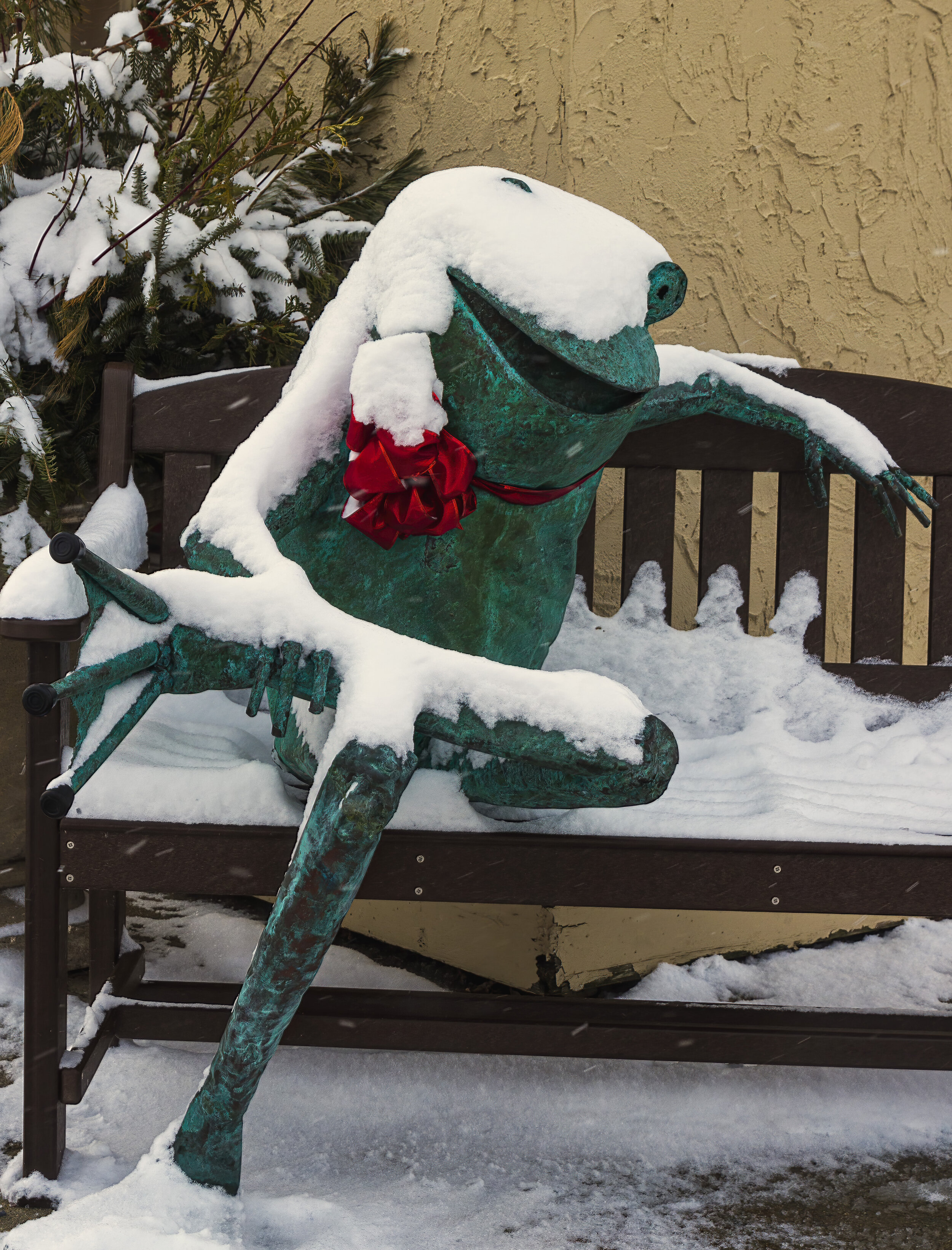 Frog in Snow with Bow - Joe Eichers