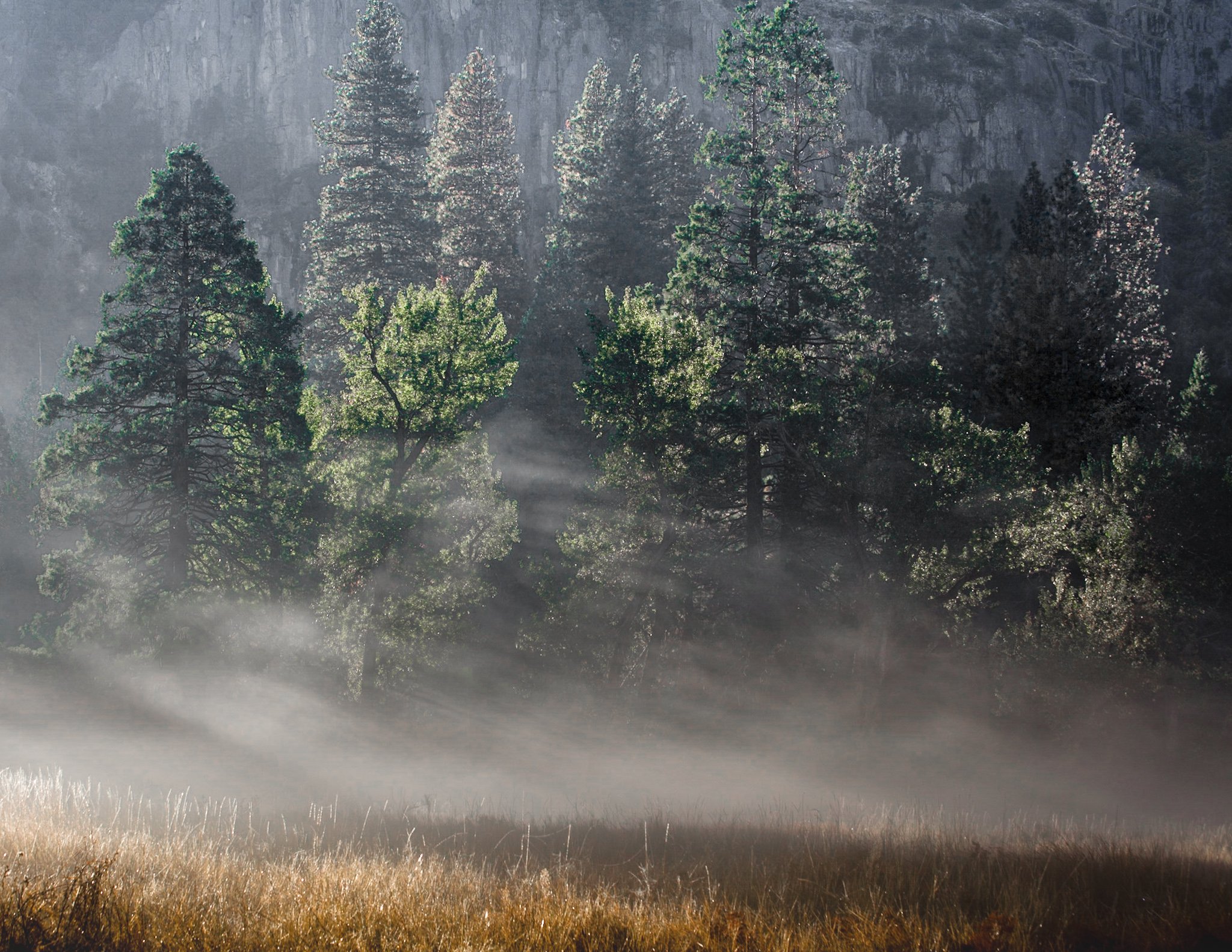 Early Morning, Cook's Meadow, Yosemite - Jack Kleinman