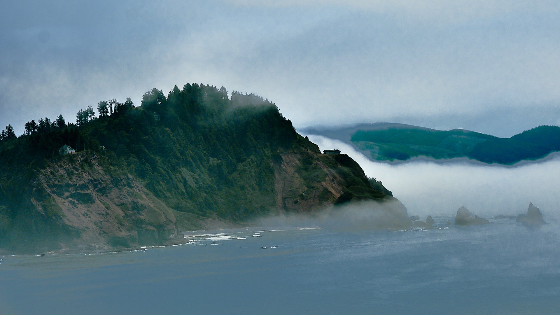 Oregon Coast - David Tripp