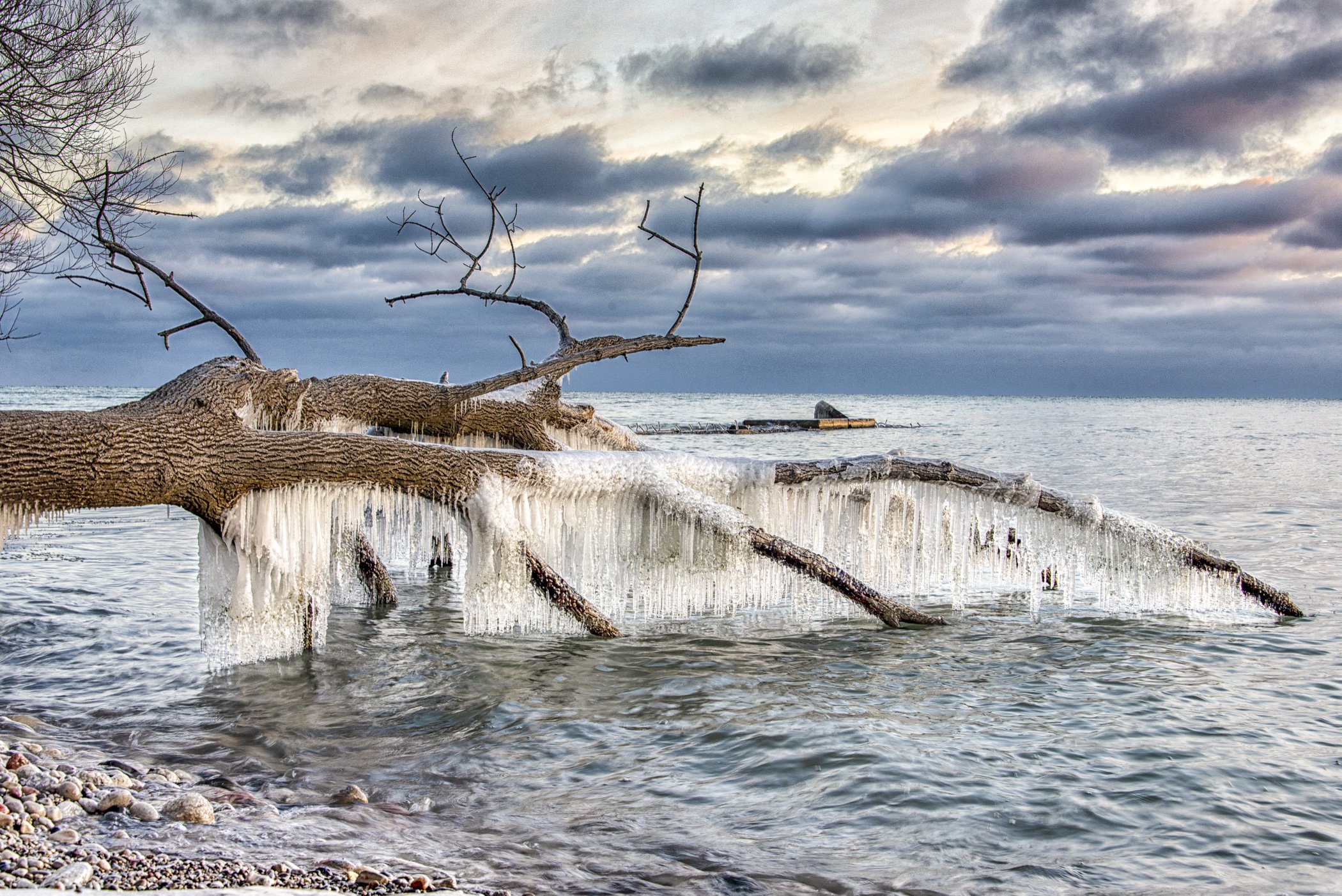 1st place - Frozen Dripping Water - Phyllis Bankier