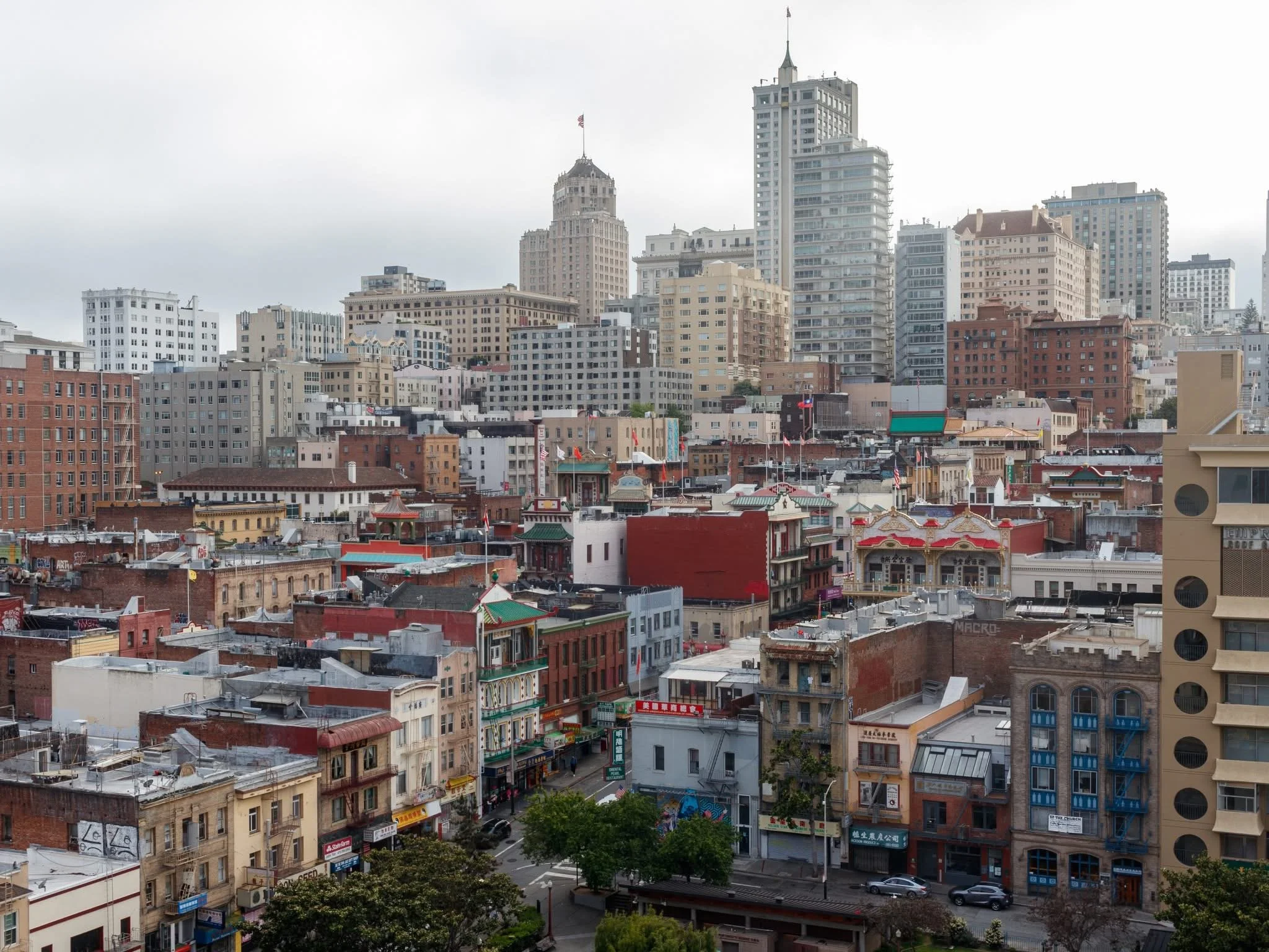 3rd place - San Francisco - Marci Konopa