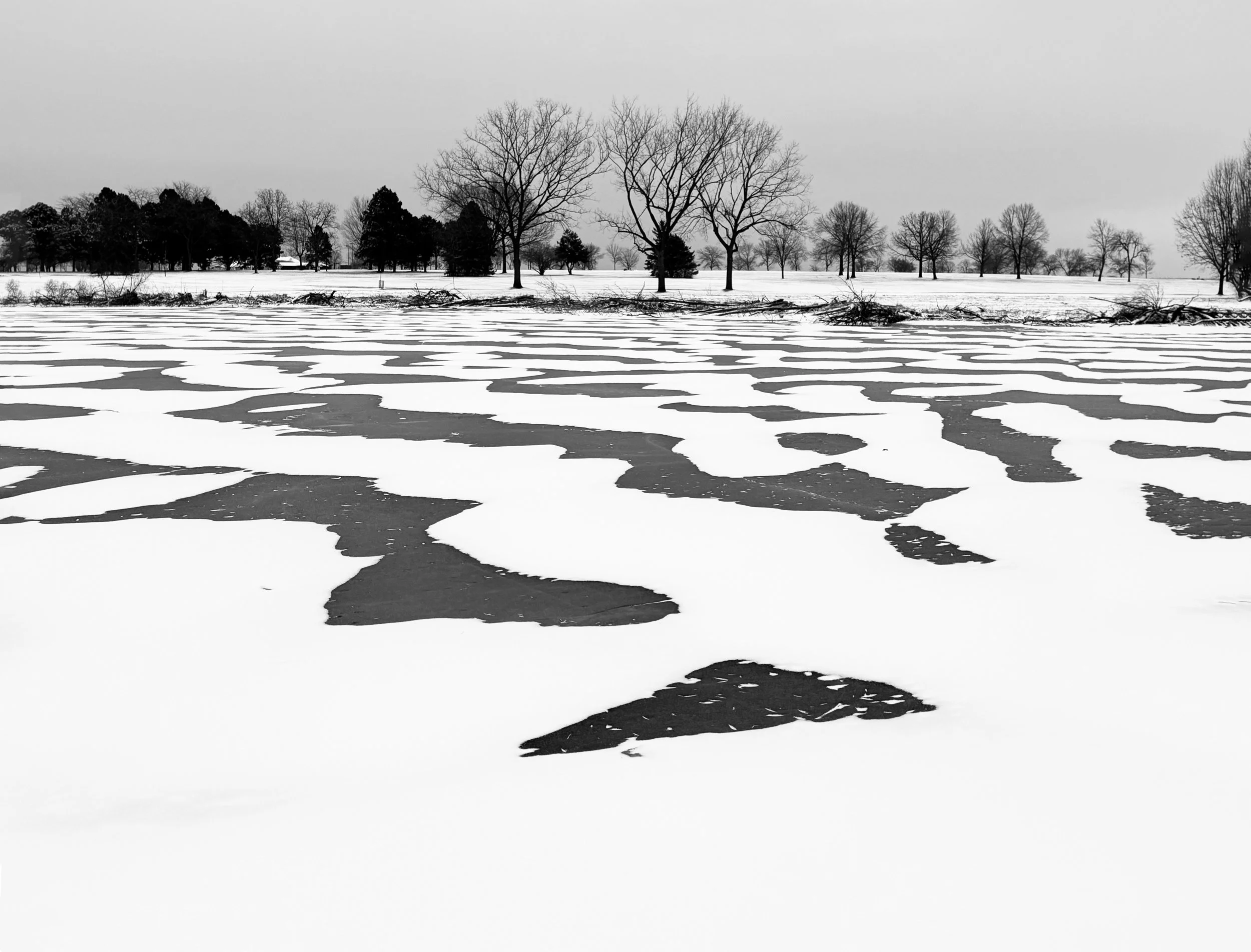 3rd place Surface Snow - Phyllis Bankier 