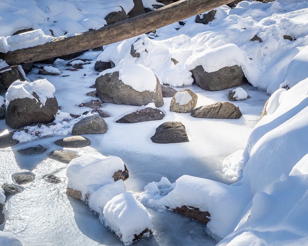 A Cold Gathering - David Tripp