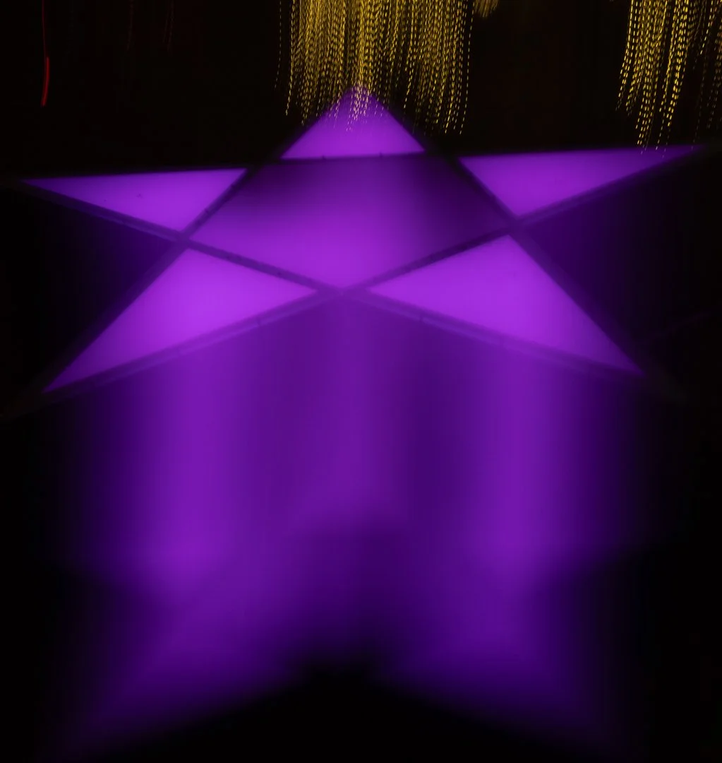Purple Star - David Tripp