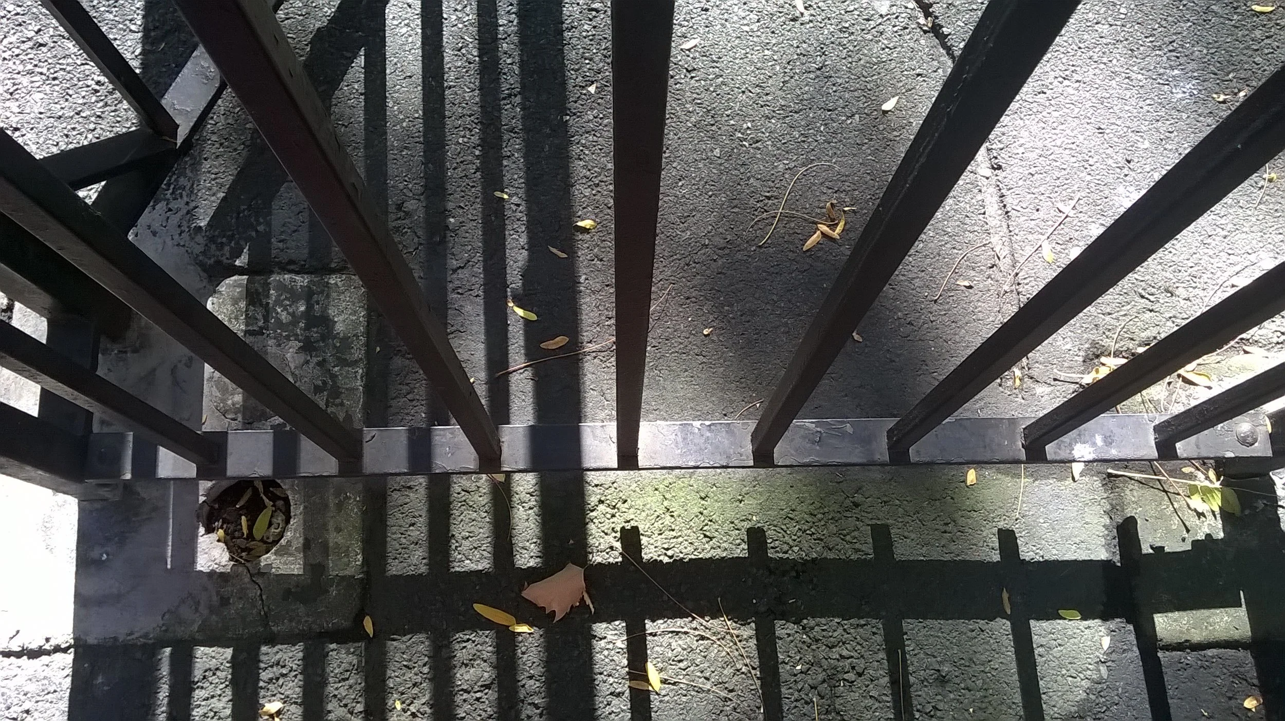 WP_20141012_14_07_08_Pro.jpg