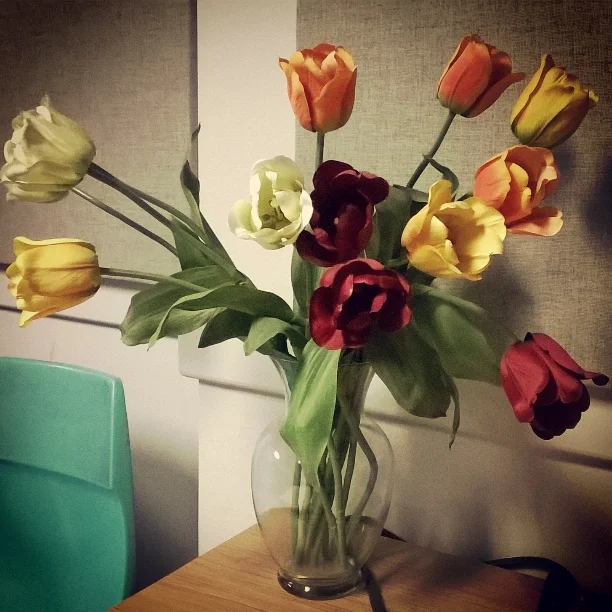 InstagramCapture_583a88ba-487f-462c-b0ac-c99866083cfb.jpg