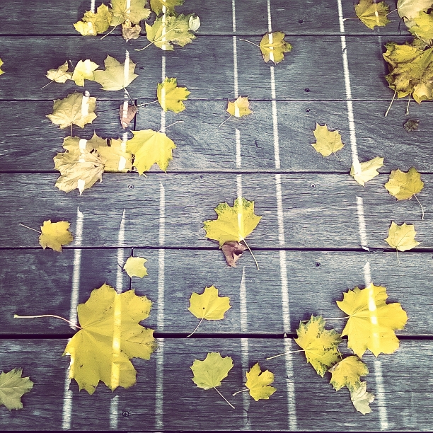 InstagramCapture_d7a42d88-5d35-47db-9185-745afe11b0cf.jpg