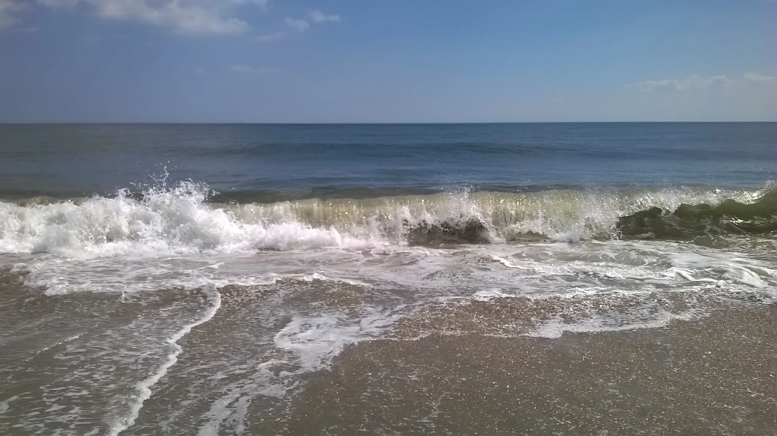 WP_20160826_14_28_03_Pro.jpg
