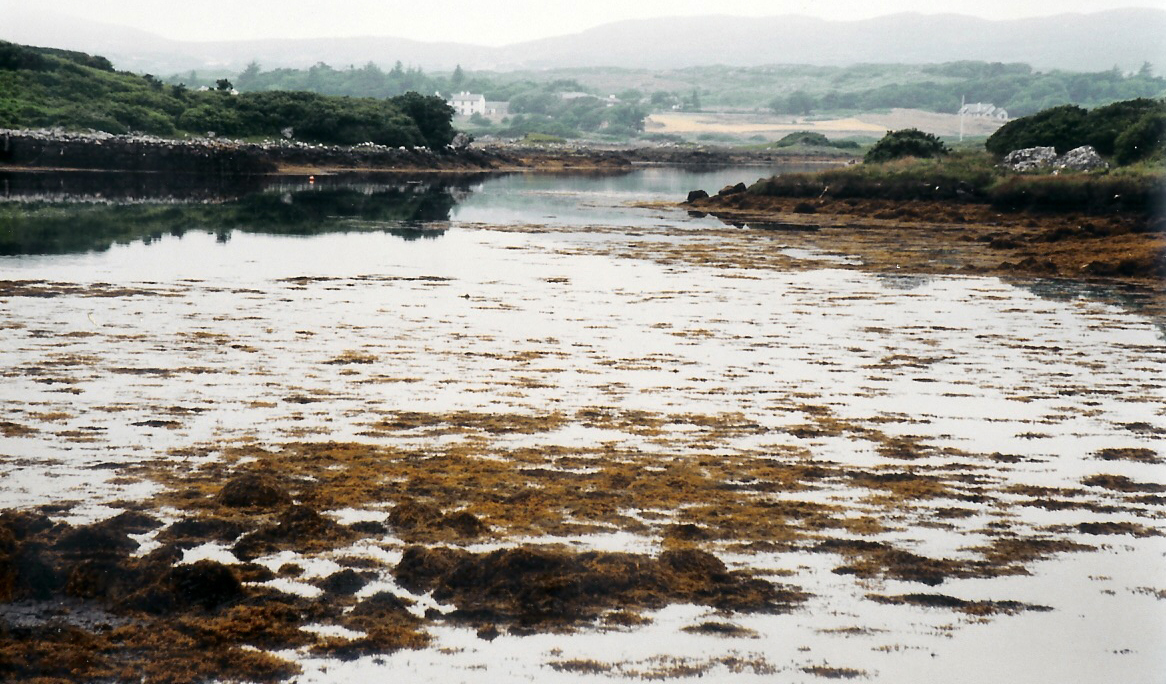 scan0002.jpg