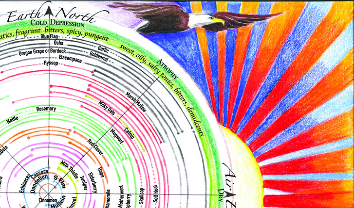 Herbal Energetics Chart