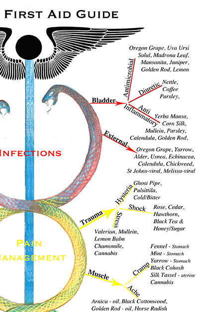 Herbal Energetics Chart