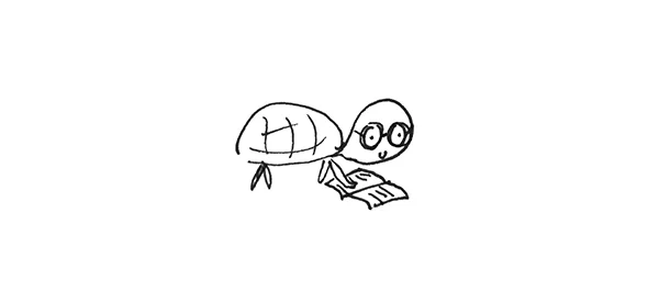 turtle.jpg