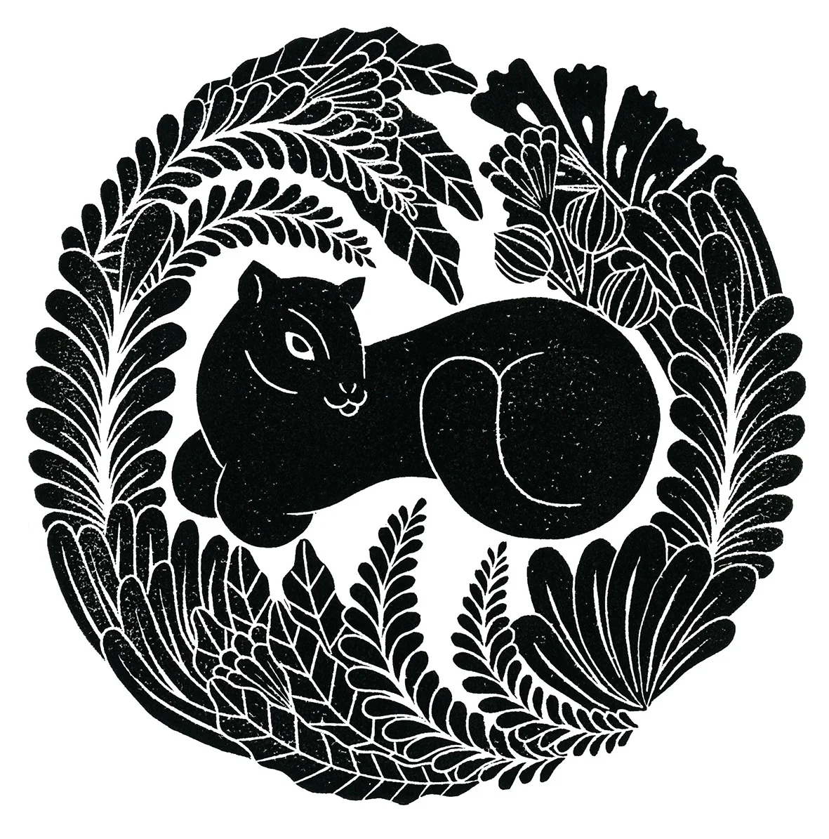 jessica-benhar-nature-cat.jpg