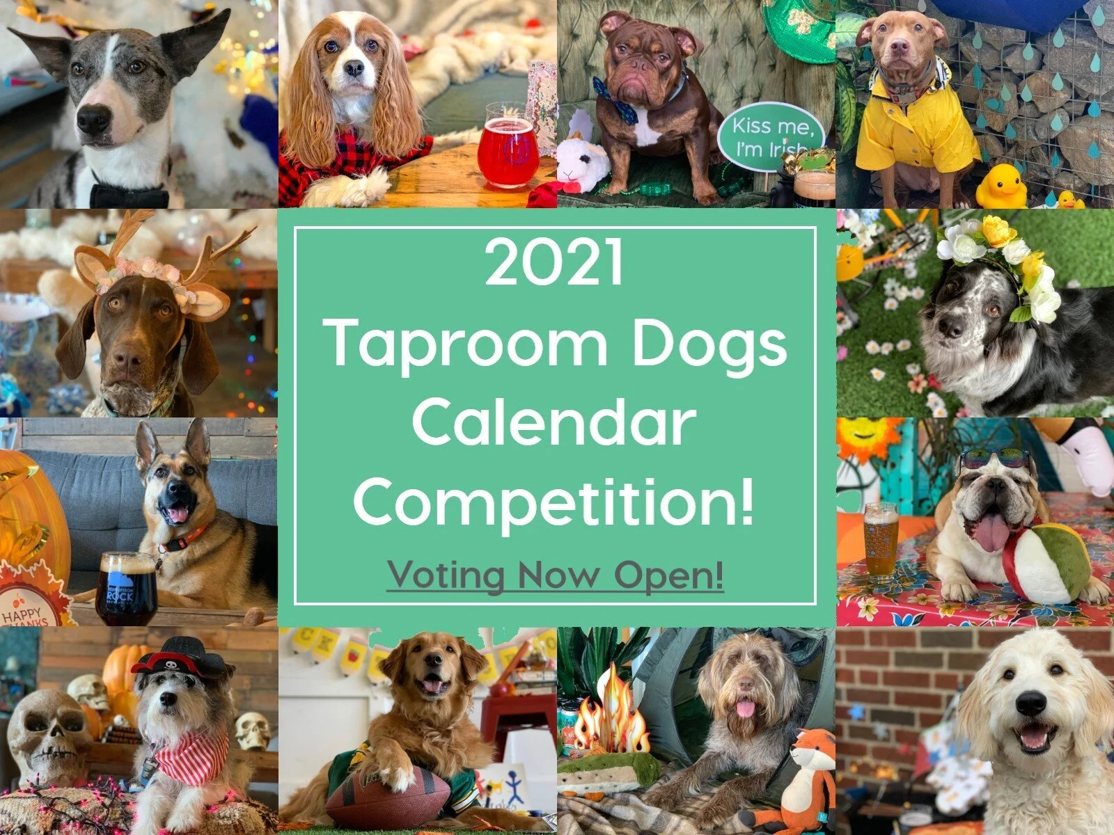 Vote in our 2021 Taproom Dogs Calendar Competition!