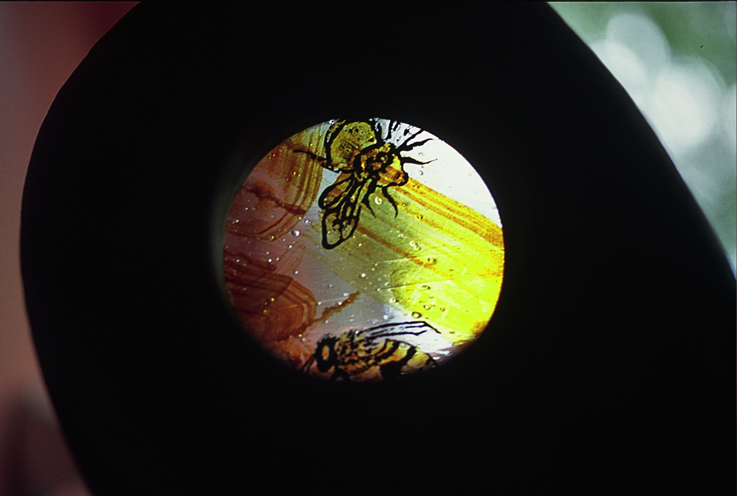 Bees, 2003