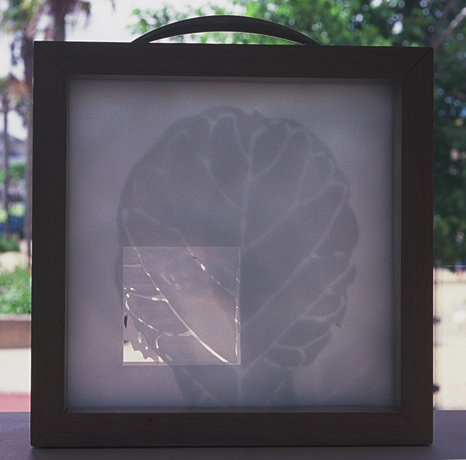 A Significant Place, 2004