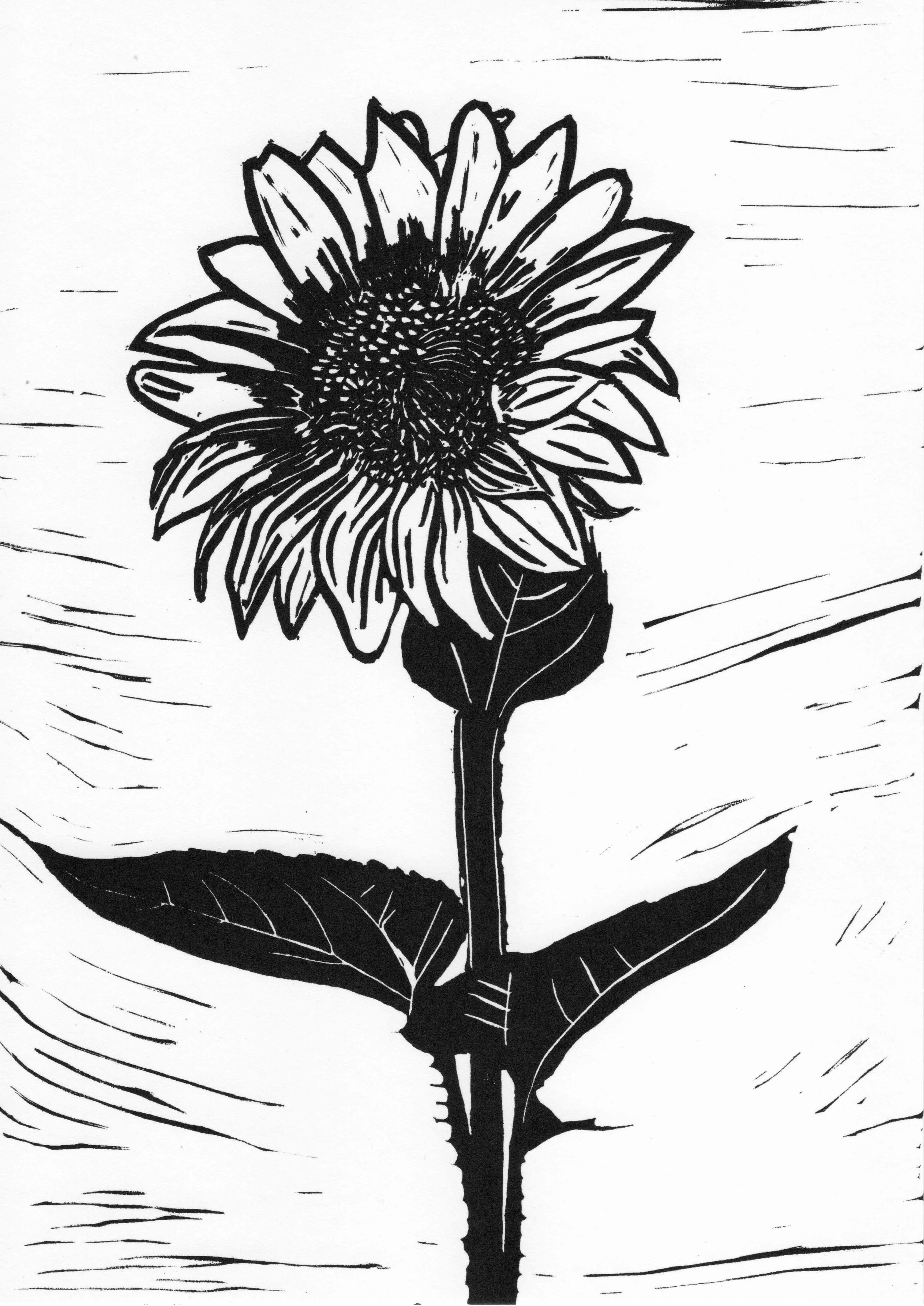 Sunflower final print.jpg