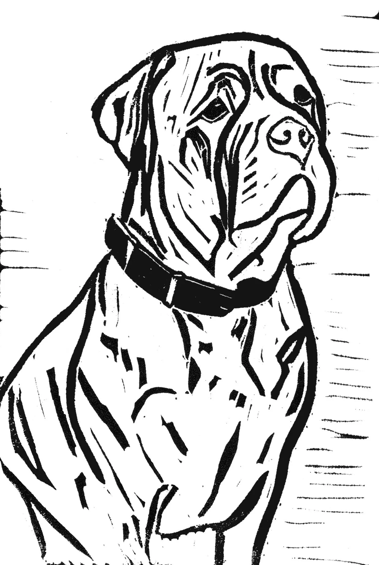 AmyDog.jpg