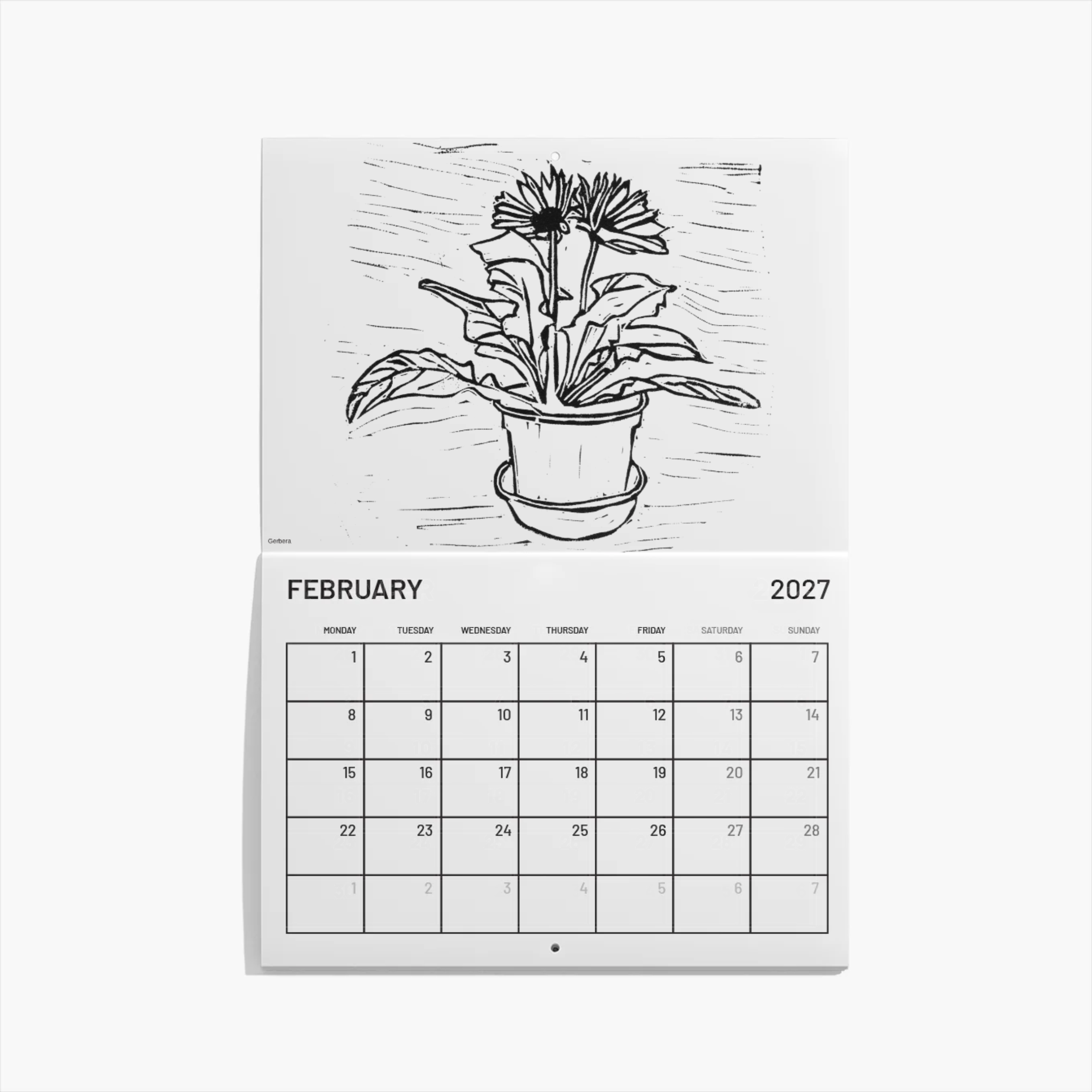 Feb.png
