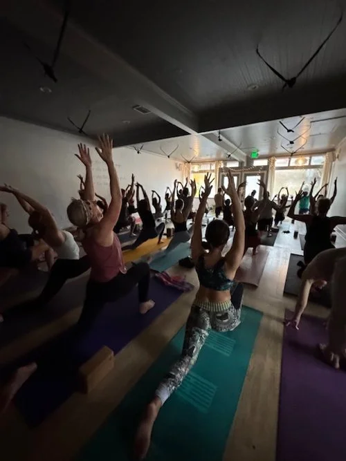 Flow to Wine and Kombucha with Carla Herzenberg