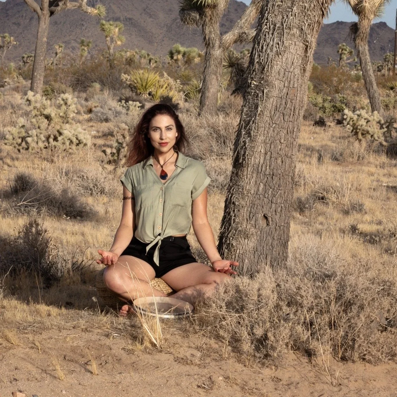 Self-Hypnosis for Heart-Centering Support - Hypnosis & Somatic Regulation Workshop