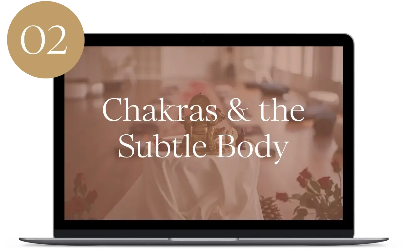 Move beyond the physical body and into the energetic dimensions of yoga through the chakra system, prana, and the subtle body. Through pranayama, meditation, and embodied practice, you’ll cultivate deeper awareness, insight, and inner balance.