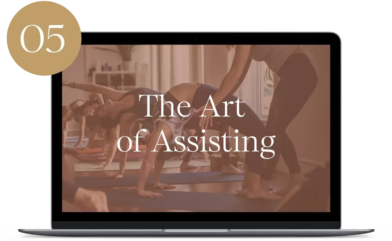 Learn the art of safe, supportive, and empowering hands-on assists rooted in consent, communication, and the energetics of touch. You’ll develop confidence assisting a range of postures while honoring each student’s unique body, boundaries, and comfo