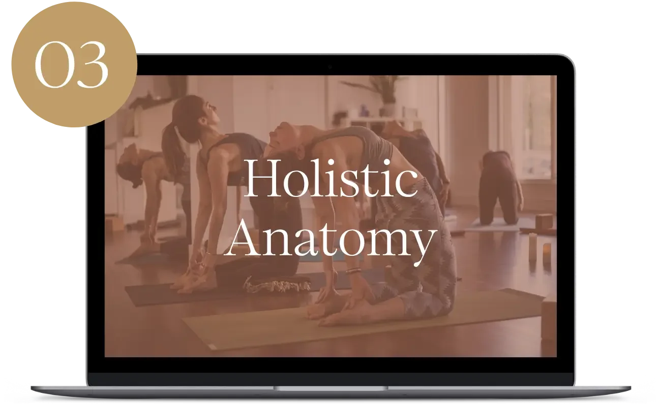 Deepen your understanding of the human body and how yoga postures function to support different bodies safely and effectively. You’ll learn to offer modifications, address common challenges, and teach alignment with greater clarity, precision, and em