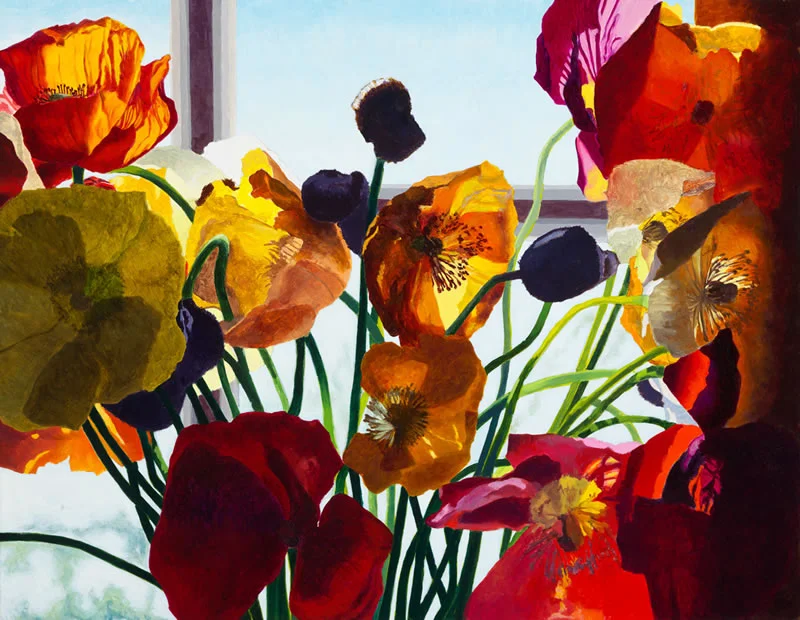 Window Study 1